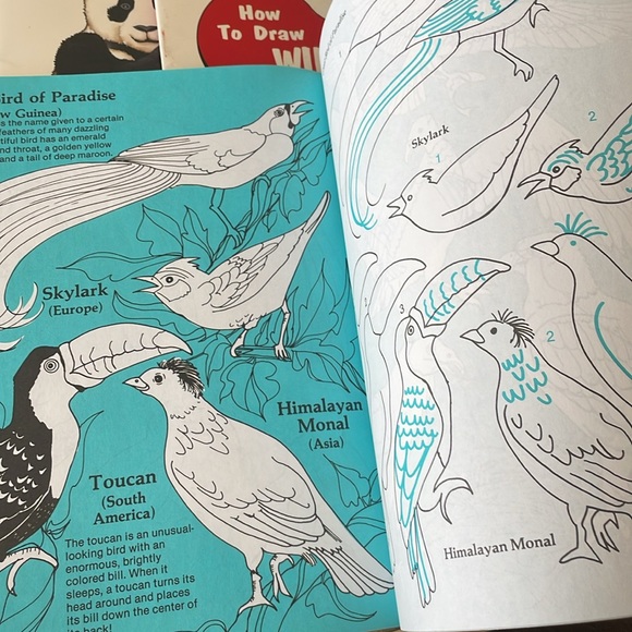 6‎ How To Draw Books - Picture 4 of 5